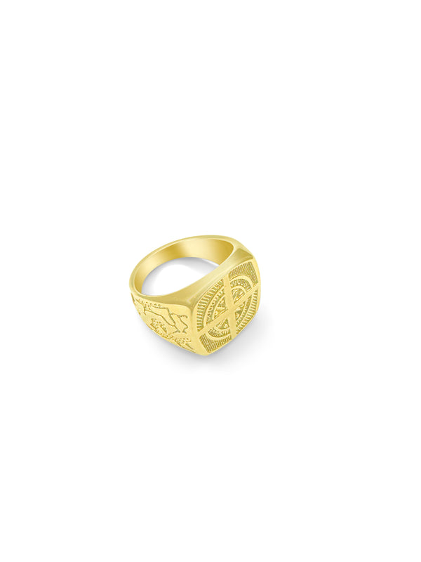 True North Ring - Gold & Silver